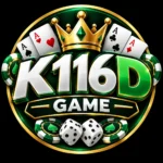 K116D Game