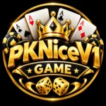 PKNiceV1 Game